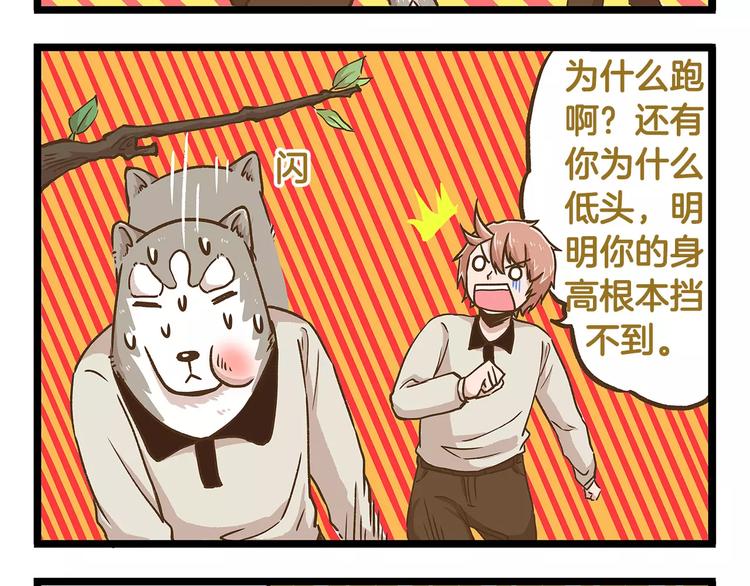 第20话 传说中的牙医7