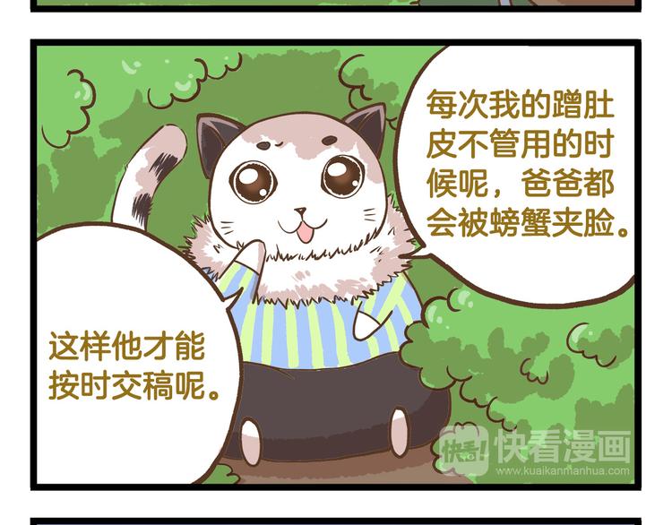 第39话 带我一起飞鸭！11