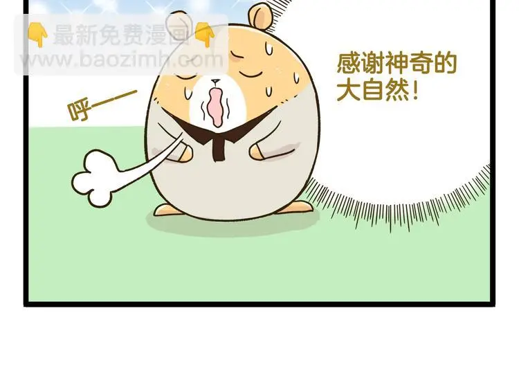 第135话 工艺拍卖会25