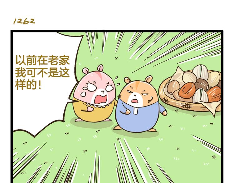 第181话 会唱歌的小仓鼠14