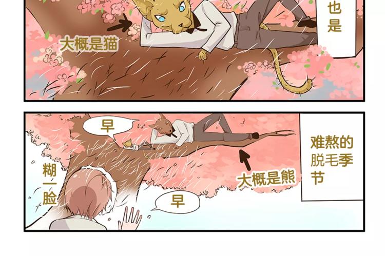 第2话 毛发管理3