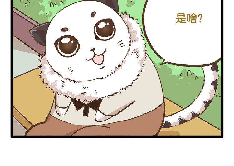 第30话 夏日大乱斗25
