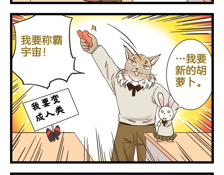 第169话 向流星许愿7