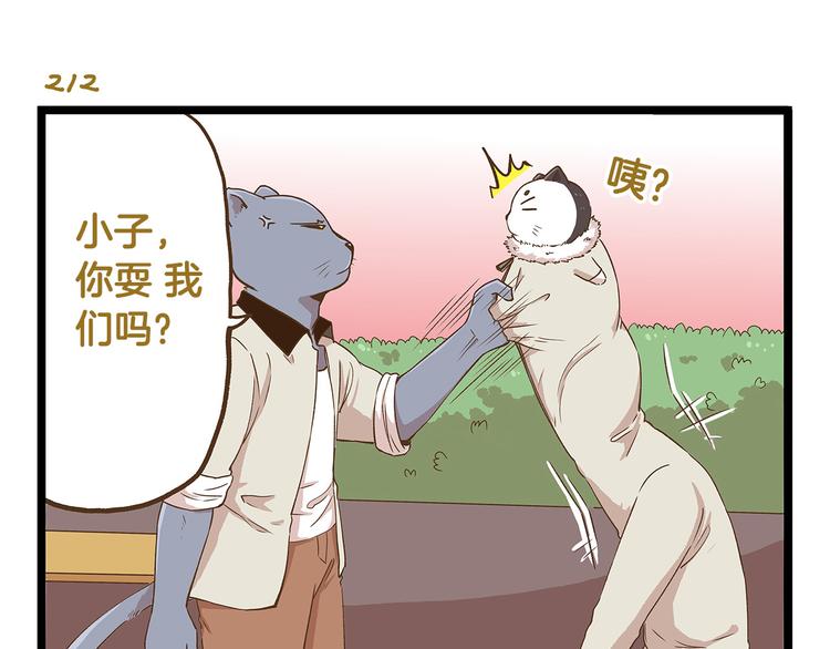 第31话 5个小时的接力赛6
