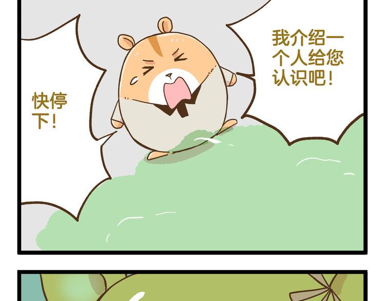 第125话 萌胖28
