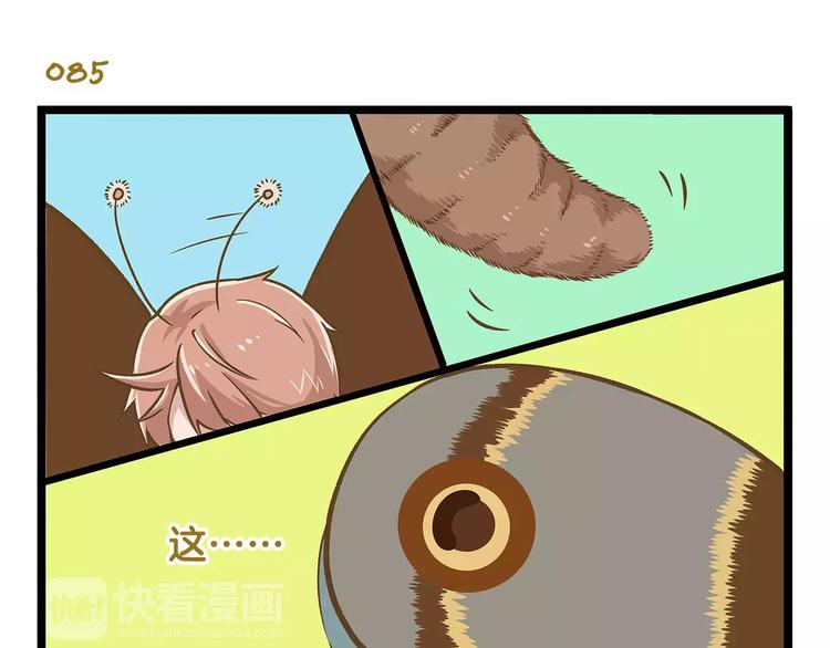 第13话 蝴蝶和幺蛾的约会2