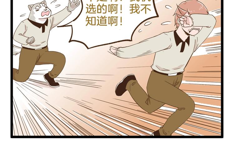 第97话 机选的啦~29