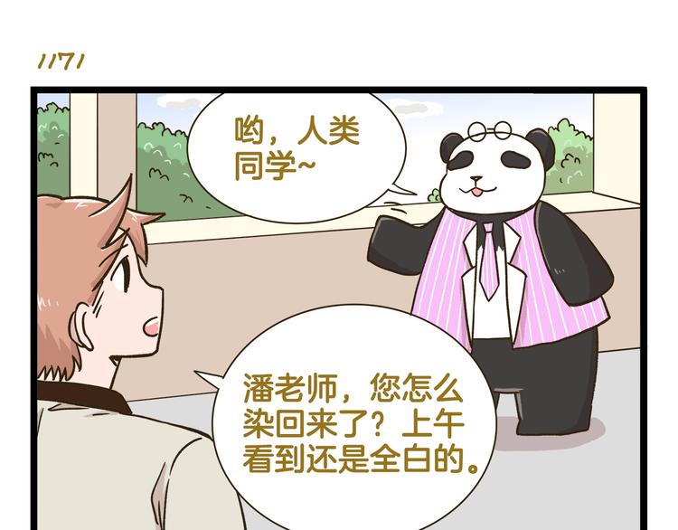第168话 杨老师来了又走了？14
