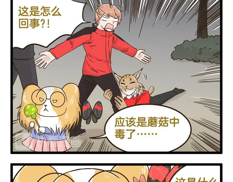 第143话 登山历险记 下篇12