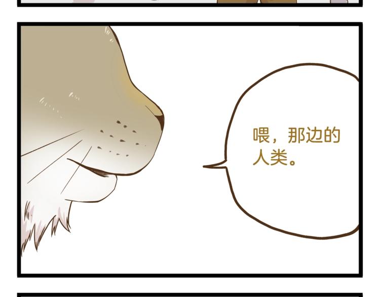 第66话 神秘力量3