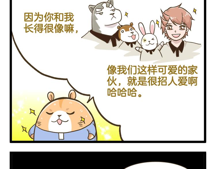 第181话 会唱歌的小仓鼠24