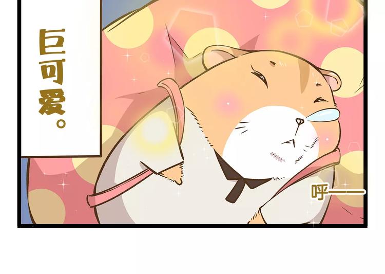 第14话 誓死保卫仓鼠！5