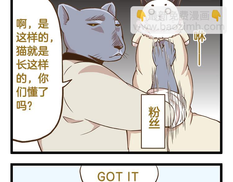 第31话 5个小时的接力赛8