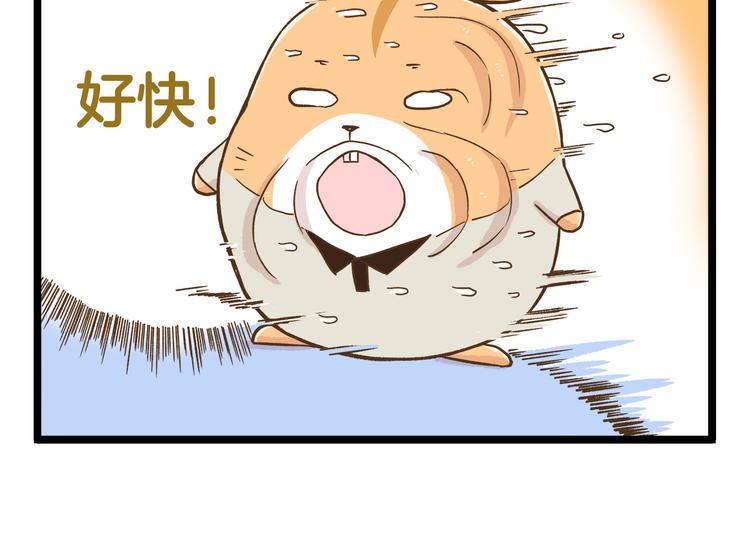第125话 萌胖13