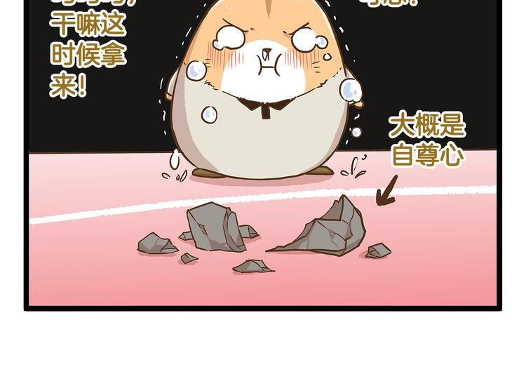 第32话 悲惨的手气王17