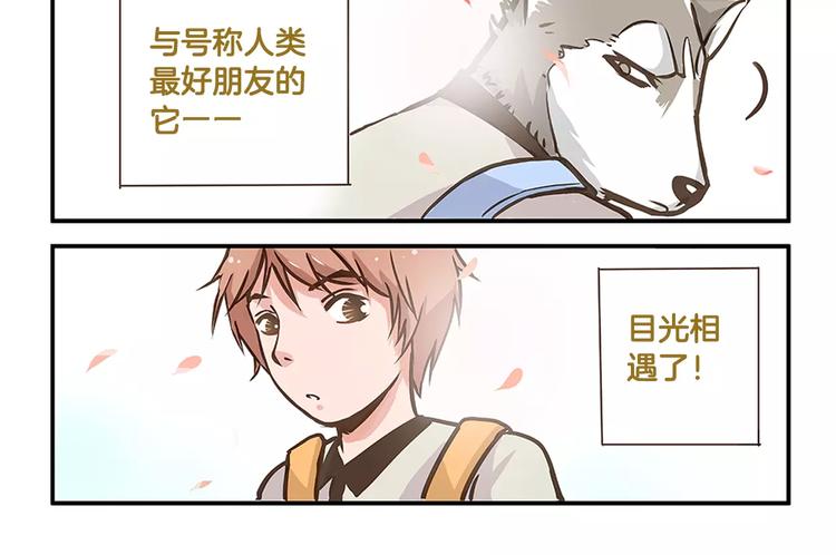 第2话 毛发管理15