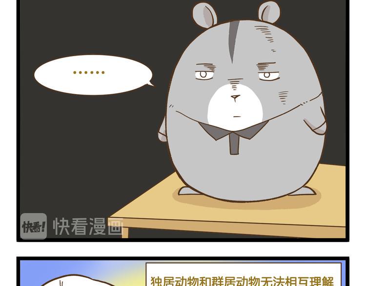 第125话 萌胖8