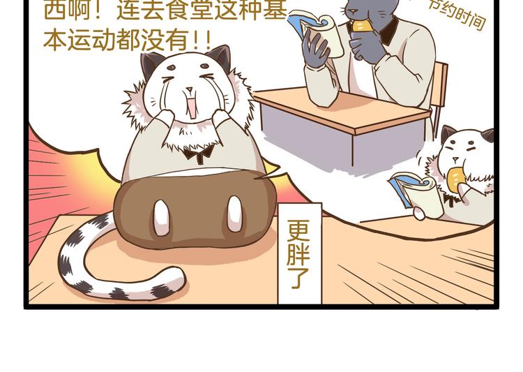 第52话 减肥！13