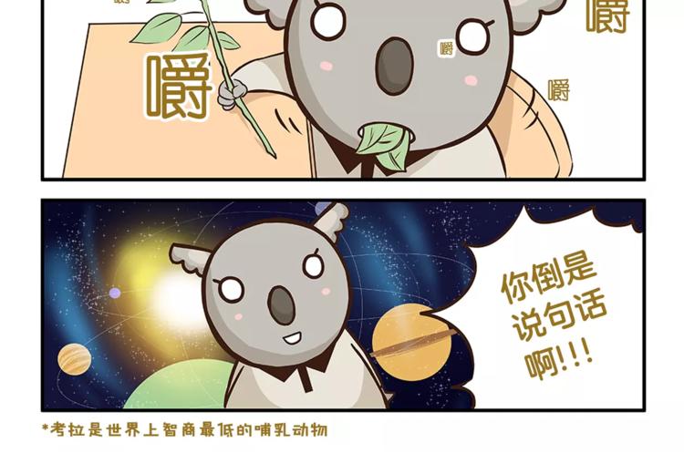 第2话 毛发管理7