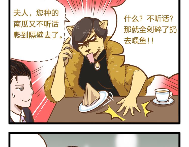 第48话 生日礼物16