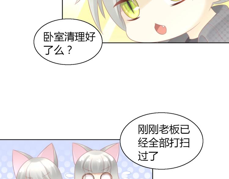 第125话 猫舍C位（一）18