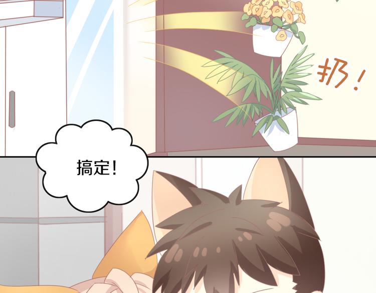 第166话 猫咪花园56