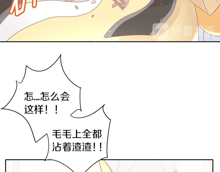第181回  拿破仑60