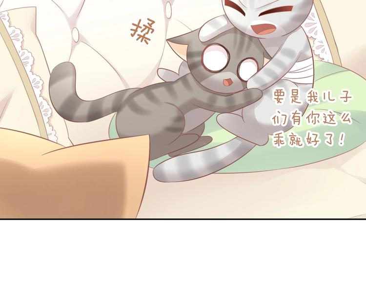 第127话 猫舍C位（三）90