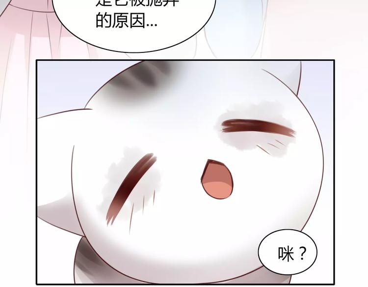 第41话 小可怜竟然是？24