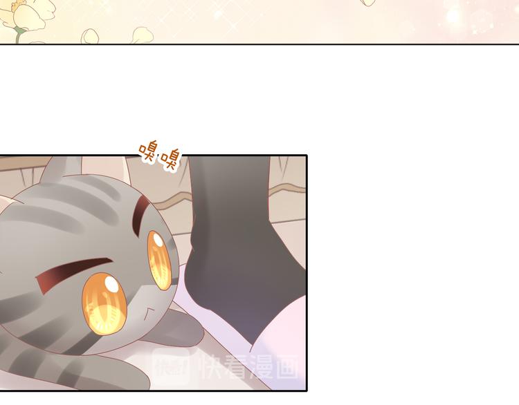 第193话 被抛弃的它25
