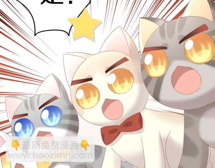 第178话 爆火视频64