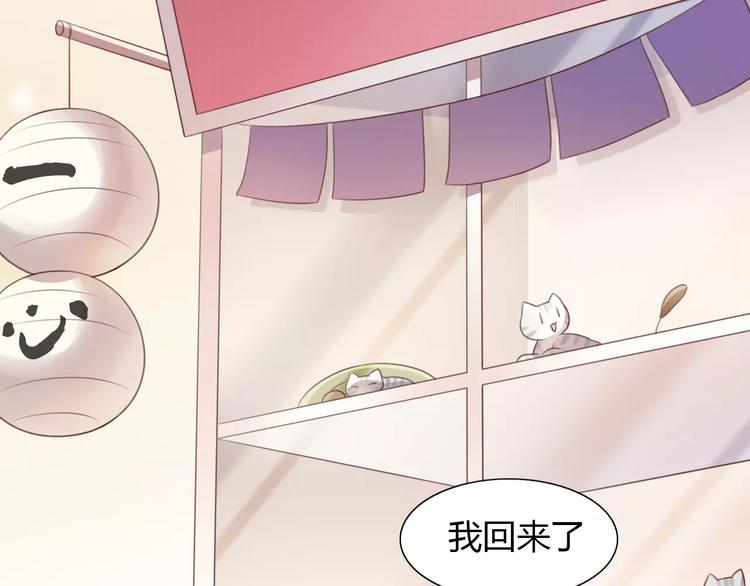 第24话 猫咪专家5