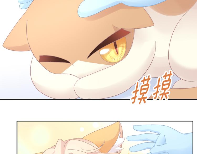 第185话 最初的爱62