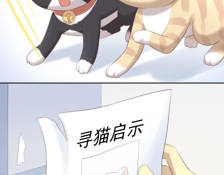第68话 突发意外18
