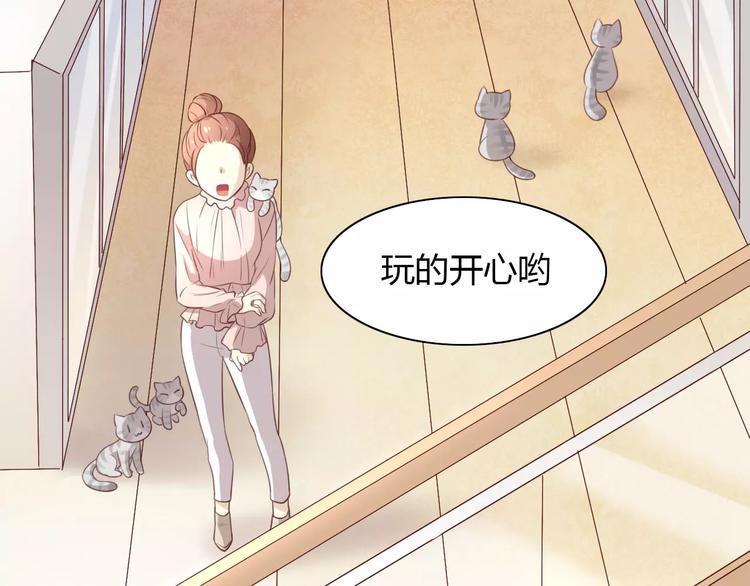 第24话 猫咪专家12