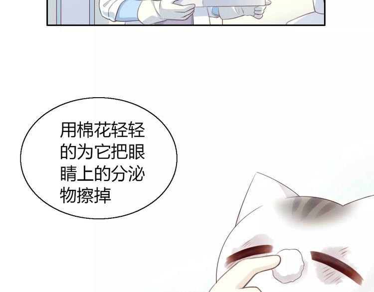 第41话 小可怜竟然是？45