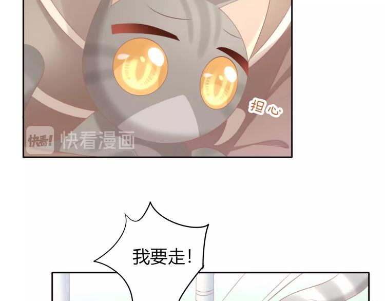 第126话 猫舍C位（二）69