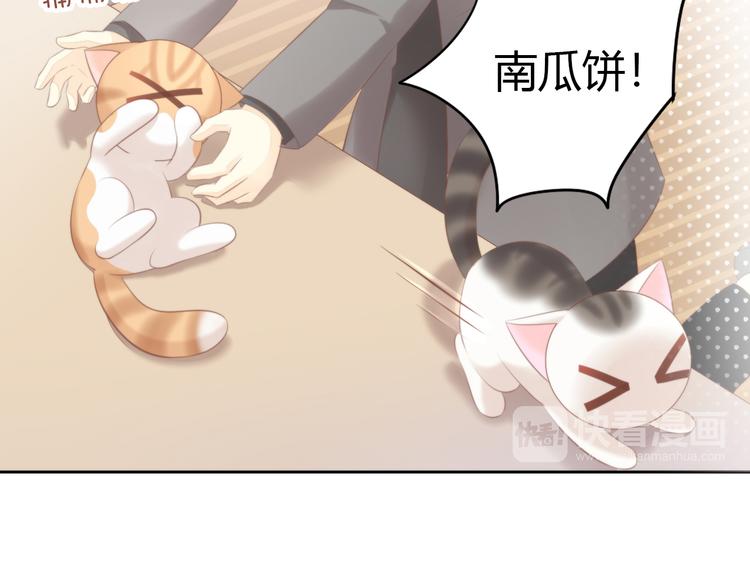 第85话 新伙伴？！40