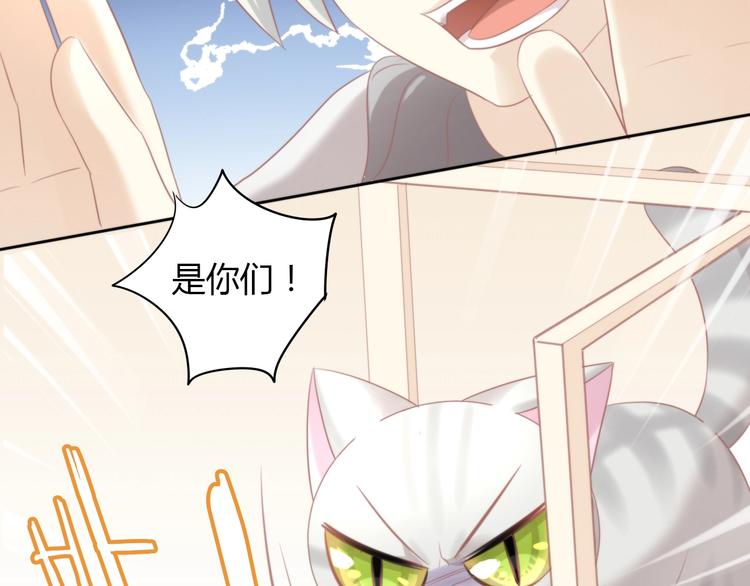 第125话 猫舍C位（一）54