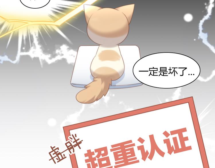 第76话 猫咪选美大赛69