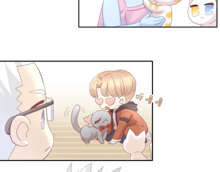第133话 撸猫技师（一）74