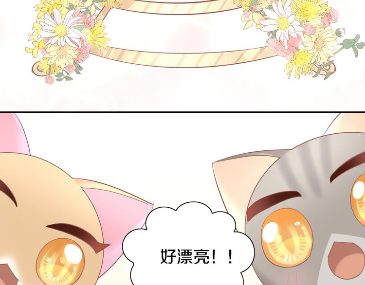 第147话 走花路吧！皮卡！64