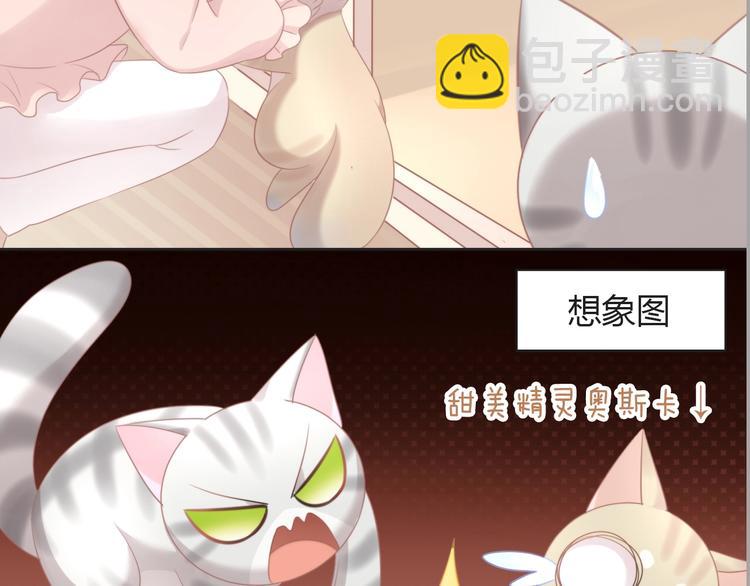 第125话 猫舍C位（一）43