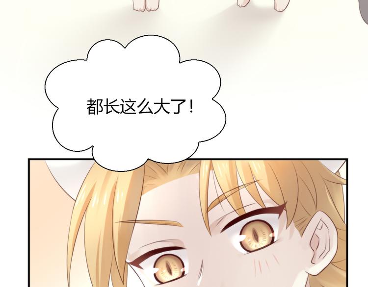 第66话 破裂6