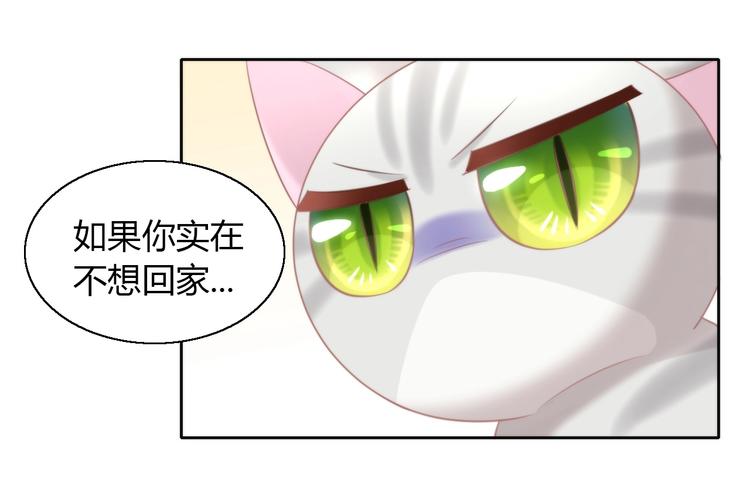 第126话 猫舍C位（二）77