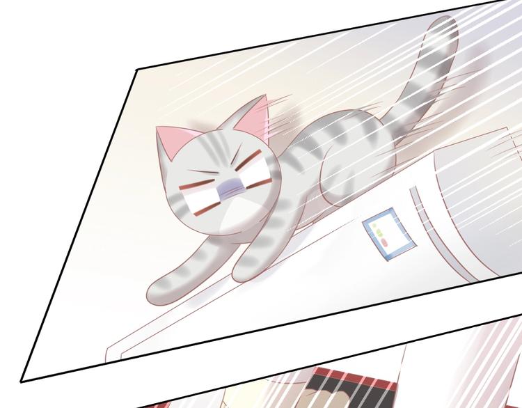 第130话 猫舍C位（六）57