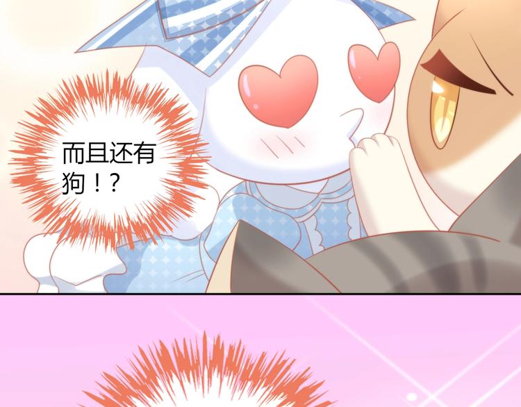第107话  仓鼠式晕厥45