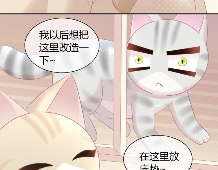 第125话 猫舍C位（一）31