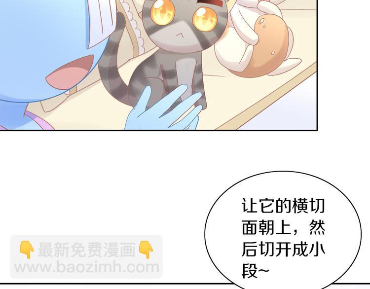 第181回  拿破仑66