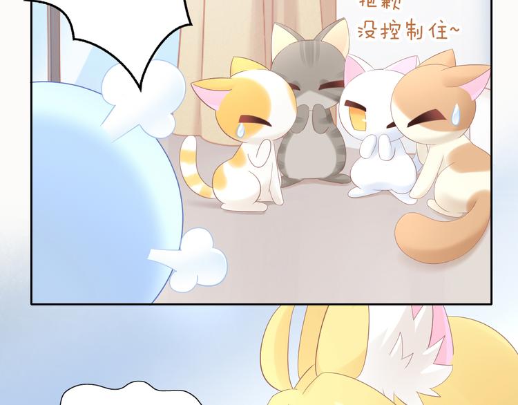 第200话 猫爪之下41